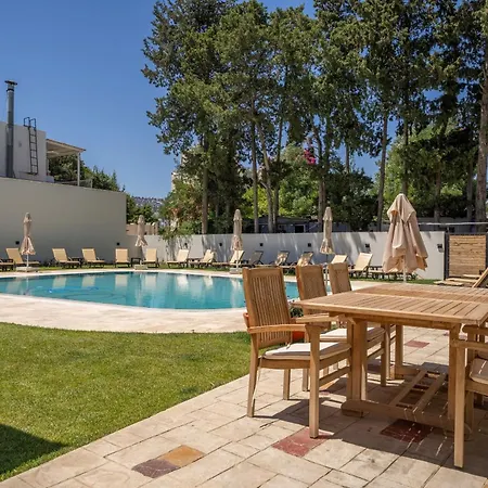 ホテル Olive Tree 4*